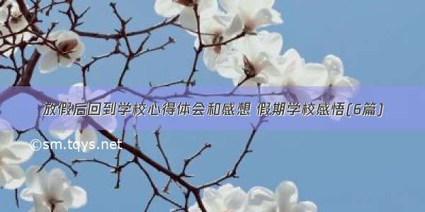 放假后回到学校心得体会和感想 假期学校感悟(6篇)