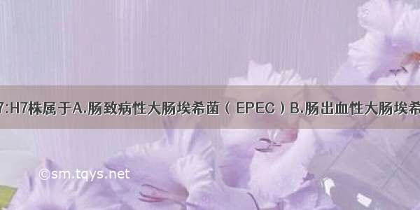 大肠埃希菌O157:H7株属于A.肠致病性大肠埃希菌（EPEC）B.肠出血性大肠埃希菌（EHEC）C