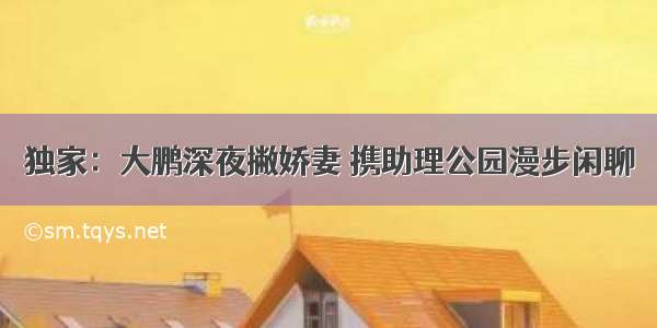 独家：大鹏深夜撇娇妻 携助理公园漫步闲聊