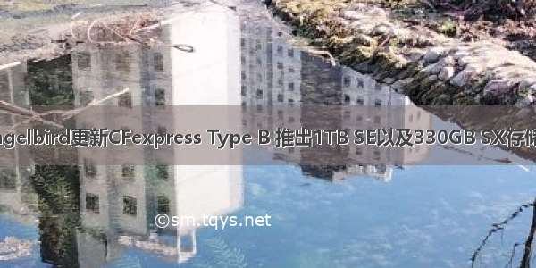 Angelbird更新CFexpress Type B 推出1TB SE以及330GB SX存储卡