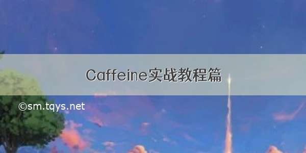 Caffeine实战教程篇