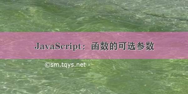 JavaScript：函数的可选参数