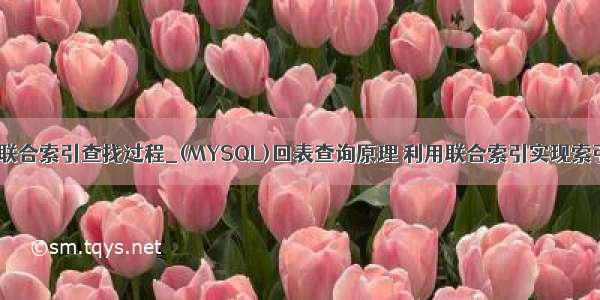 mysql联合索引查找过程_(MYSQL)回表查询原理 利用联合索引实现索引覆盖