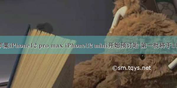 苹果屏幕尺寸_苹果iPhone12 pro max iPhone12 mini开始预订啦 第一批将于11月13日到货。...
