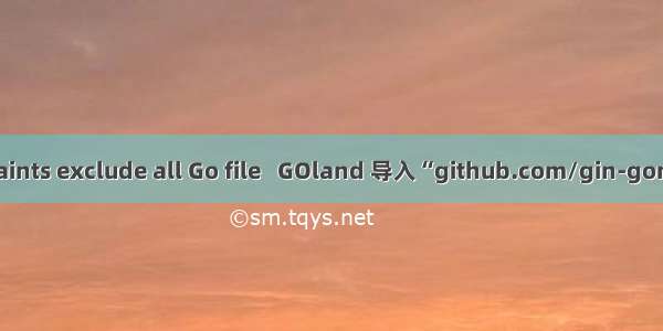 build constraints exclude all Go file   GOland 导入“github.com/gin-gonic/gin“ 报红