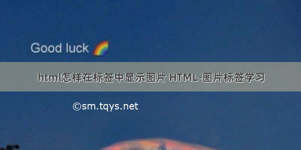 html怎样在标签中显示图片 HTML-图片标签学习