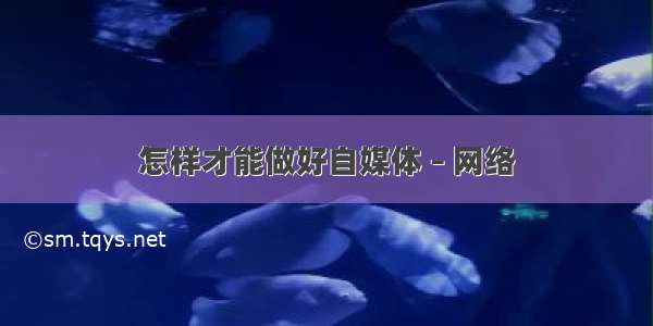 怎样才能做好自媒体 – 网络