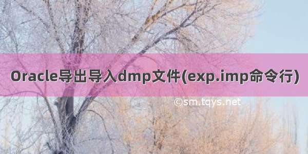 Oracle导出导入dmp文件(exp.imp命令行)