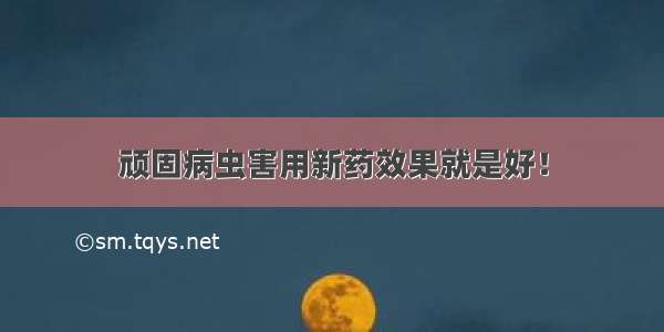 顽固病虫害用新药效果就是好！