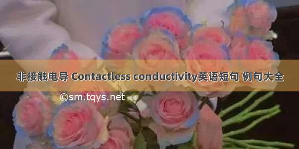 非接触电导 Contactless conductivity英语短句 例句大全