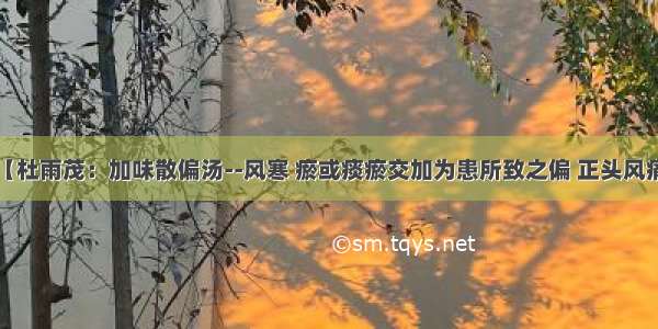 【杜雨茂：加味散偏汤--风寒 瘀或痰瘀交加为患所致之偏 正头风痛】