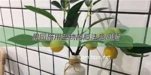 果园施用生物菌肥注意问题