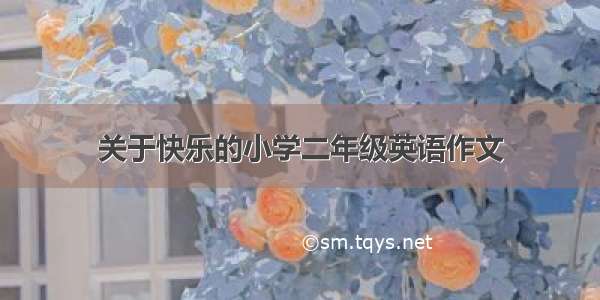 关于快乐的小学二年级英语作文