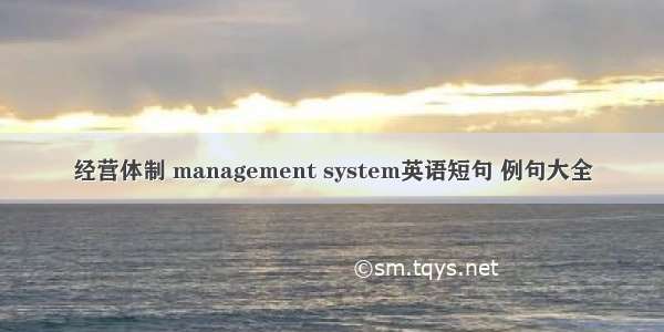 经营体制 management system英语短句 例句大全