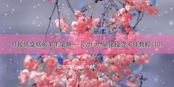 可转债交易薅羊毛策略 — Python 量化投资实战教程(10)