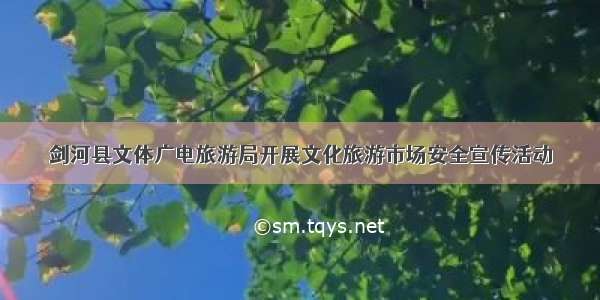 剑河县文体广电旅游局开展文化旅游市场安全宣传活动
