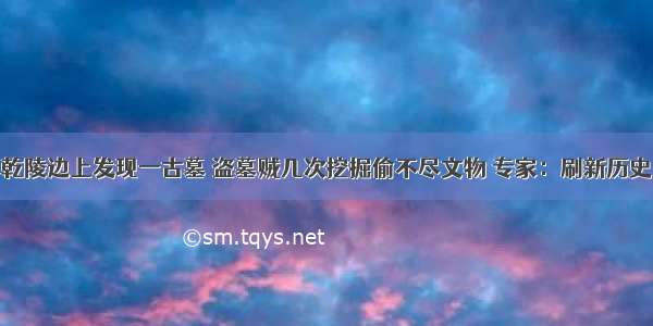 乾陵边上发现一古墓 盗墓贼几次挖掘偷不尽文物 专家：刷新历史