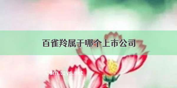 百雀羚属于哪个上市公司