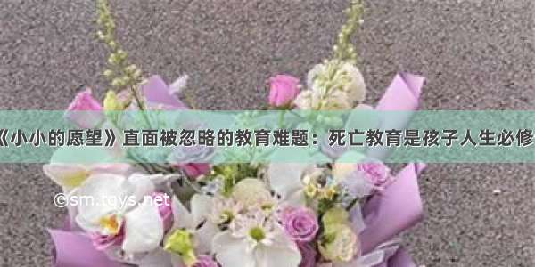 《小小的愿望》直面被忽略的教育难题：死亡教育是孩子人生必修课