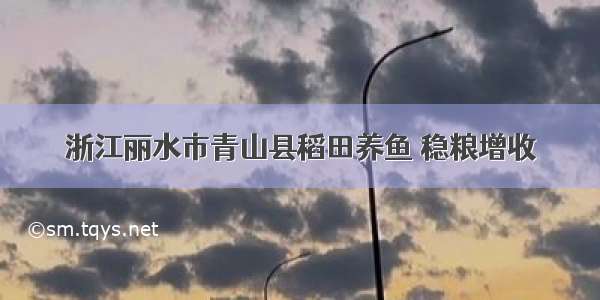 浙江丽水市青山县稻田养鱼 稳粮增收