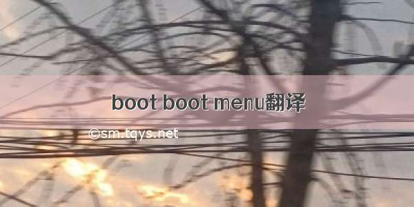 boot boot menu翻译