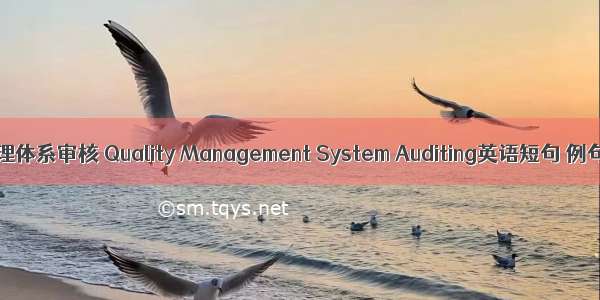 质量管理体系审核 Quality Management System Auditing英语短句 例句大全