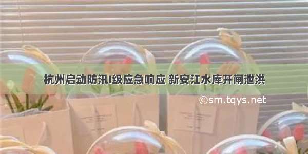 杭州启动防汛I级应急响应 新安江水库开闸泄洪