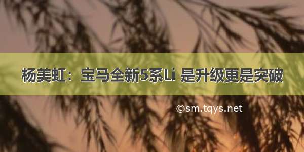 杨美虹：宝马全新5系Li 是升级更是突破