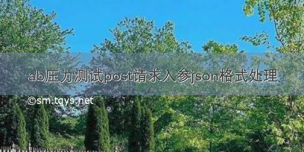 ab压力测试post请求入参json格式处理