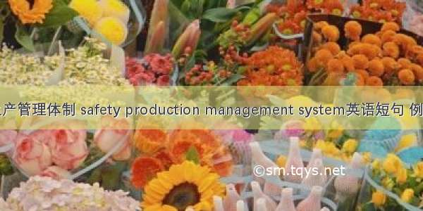 安全生产管理体制 safety production management system英语短句 例句大全