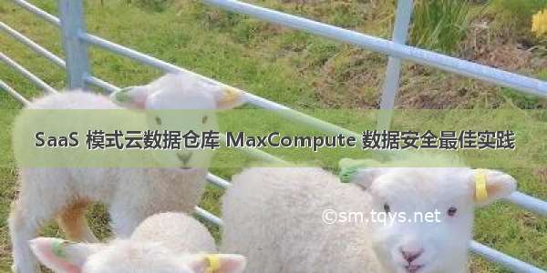 SaaS 模式云数据仓库 MaxCompute 数据安全最佳实践