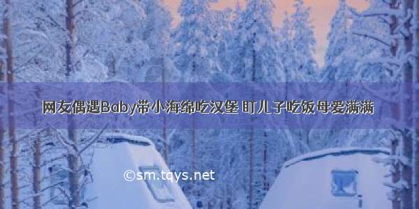 网友偶遇Baby带小海绵吃汉堡 盯儿子吃饭母爱满满