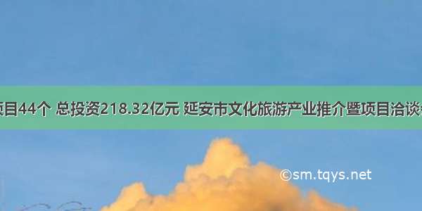 签约项目44个 总投资218.32亿元 延安市文化旅游产业推介暨项目洽谈会召开