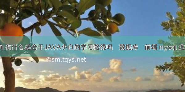 mysql单点查询 有什么适合于JAVA小白的学习路线吗 – 数据库 – 前端 mysql 连接错误10061