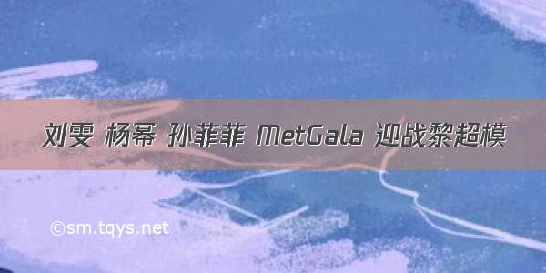 刘雯 杨幂 孙菲菲 MetGala 迎战黎超模