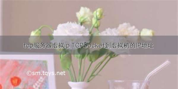 tcp服务器虚拟ip TCPSocket到虚拟机的IP地址