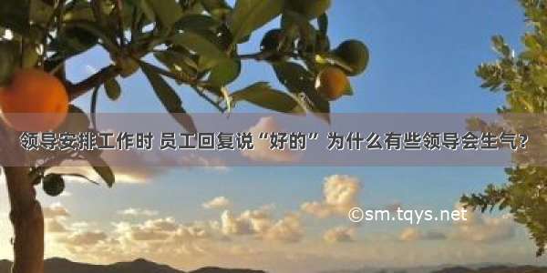 领导安排工作时 员工回复说“好的” 为什么有些领导会生气？