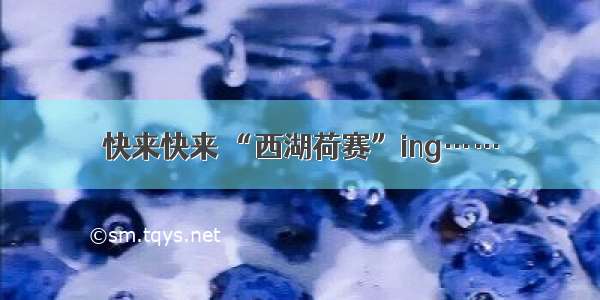 快来快来 “西湖荷赛”ing……