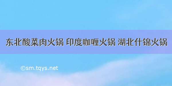 东北酸菜肉火锅 印度咖喱火锅 湖北什锦火锅