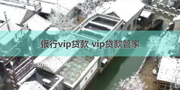 银行vip贷款 vip贷款管家