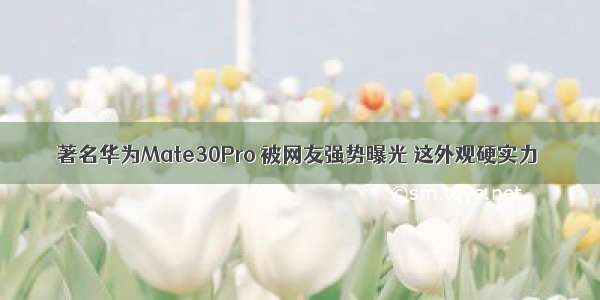 著名华为Mate30Pro 被网友强势曝光 这外观硬实力