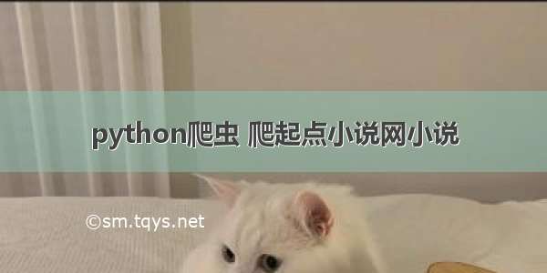 python爬虫 爬起点小说网小说