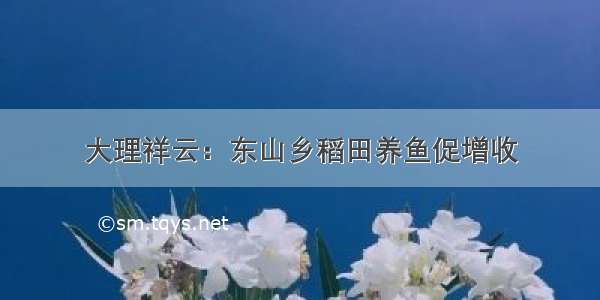 大理祥云：东山乡稻田养鱼促增收