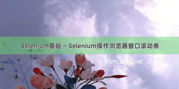 Selenium基础 — Selenium操作浏览器窗口滚动条