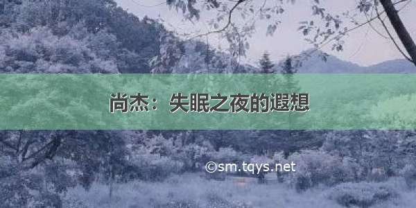 尚杰：失眠之夜的遐想