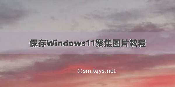 保存Windows11聚焦图片教程