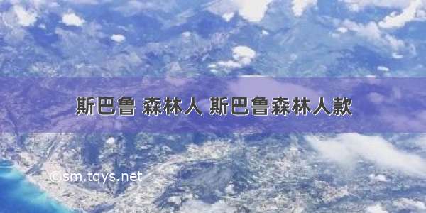 斯巴鲁 森林人 斯巴鲁森林人款