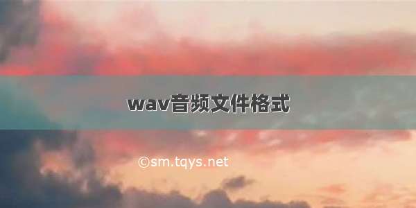 wav音频文件格式