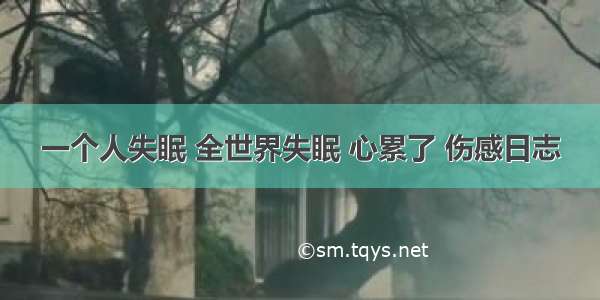 一个人失眠 全世界失眠 心累了 伤感日志