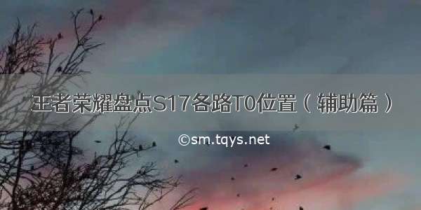 王者荣耀盘点S17各路T0位置（辅助篇）